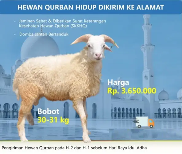 Kurban - Qurban Domba  jombang cilegon